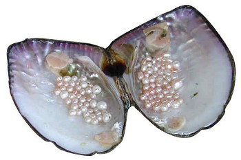 Types of Pearls – Freshwater